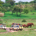 Murchison Falls National Park