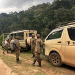 How to Prepare for Gorilla Trekking