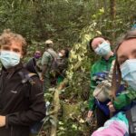 Gorilla Trekking Safari