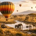 Hot Air Balloon Safari