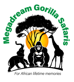 Megadream Gorilla Safaris